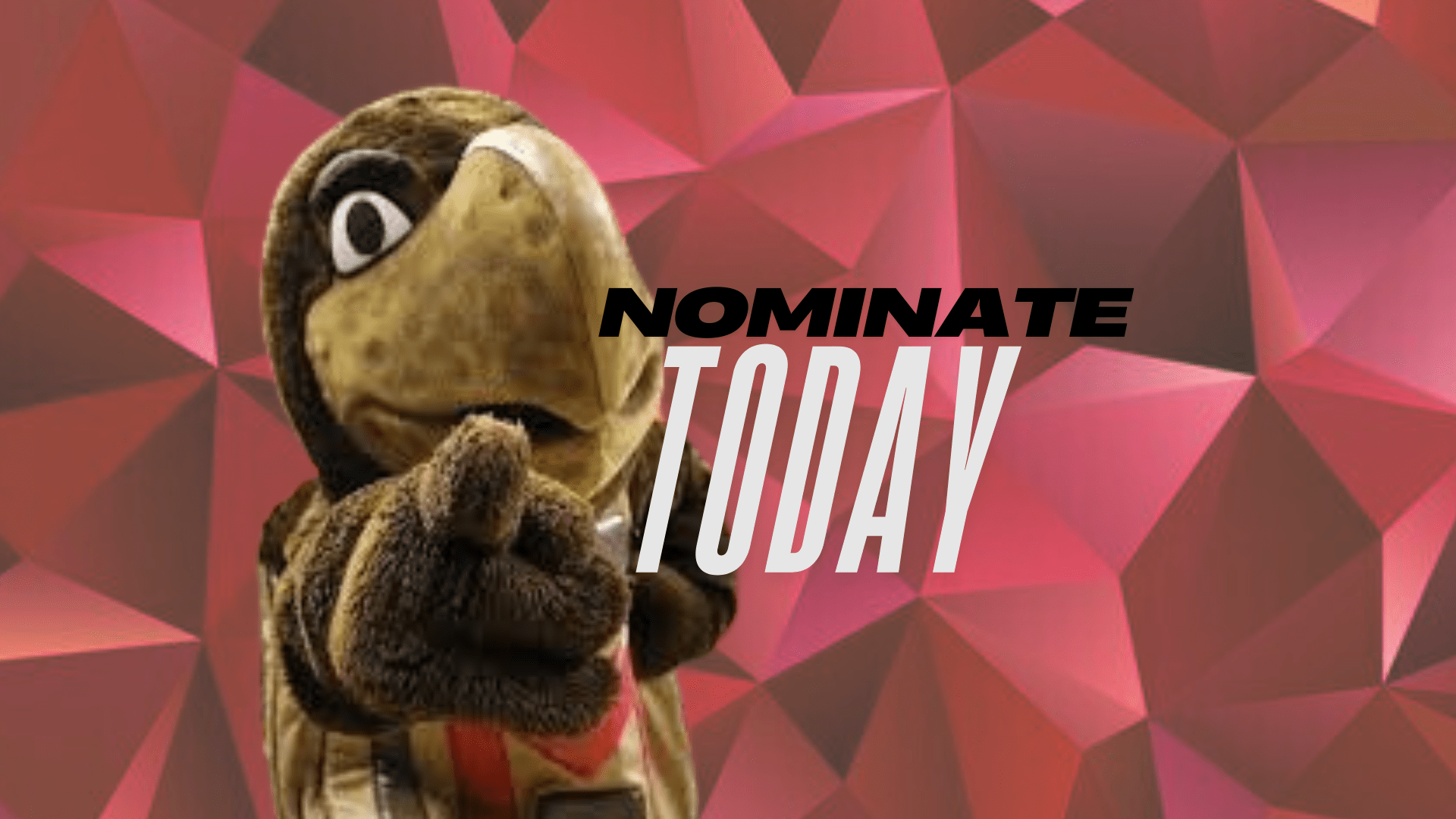 Testudo pointing at you with text saying, "Nominate Today"